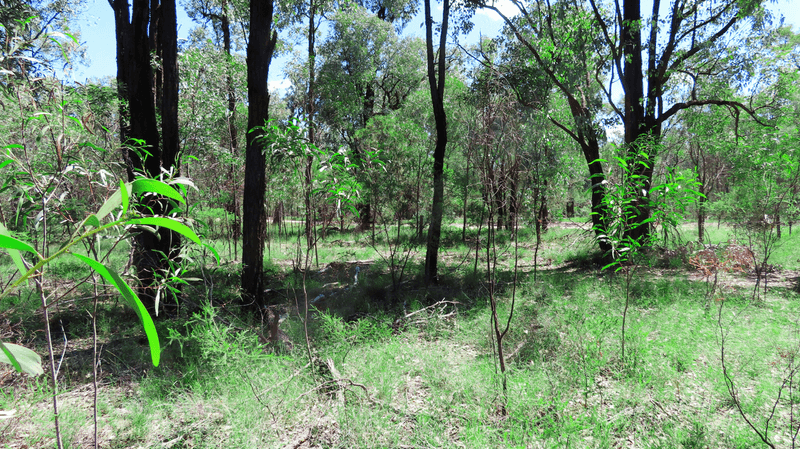 Lot 118 Upper Humbug Road, TARA, QLD 4421