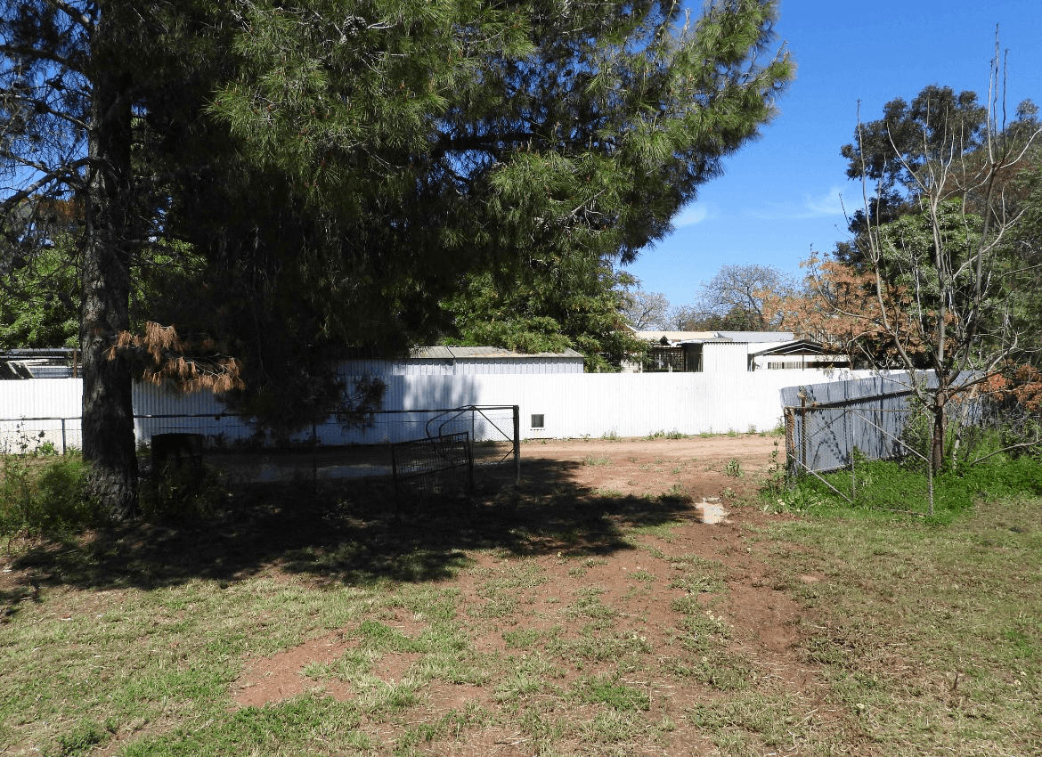 32 Mallee Street, BARELLAN, NSW 2665