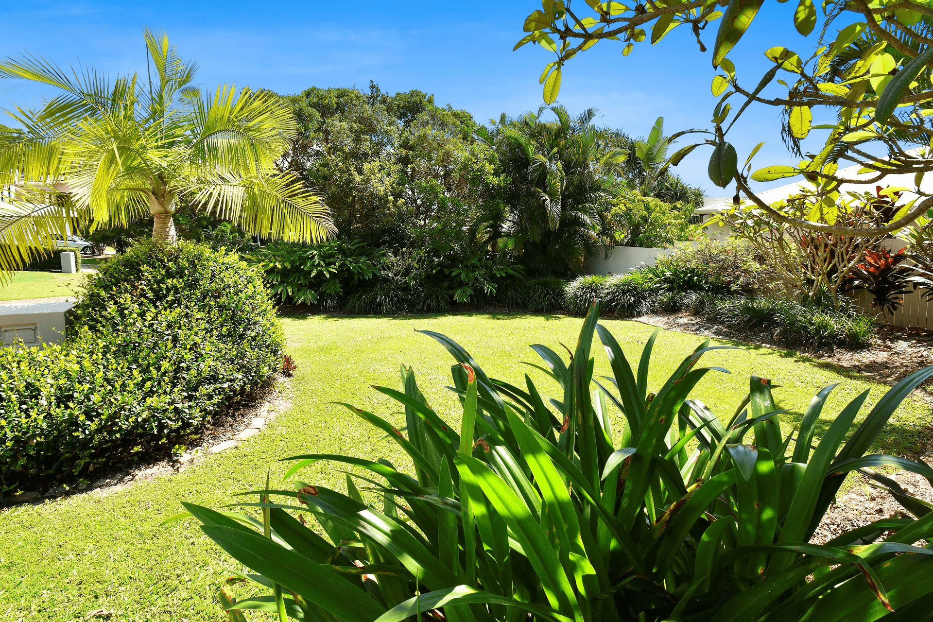 19  Greenside Court, Peregian Springs, QLD 4573