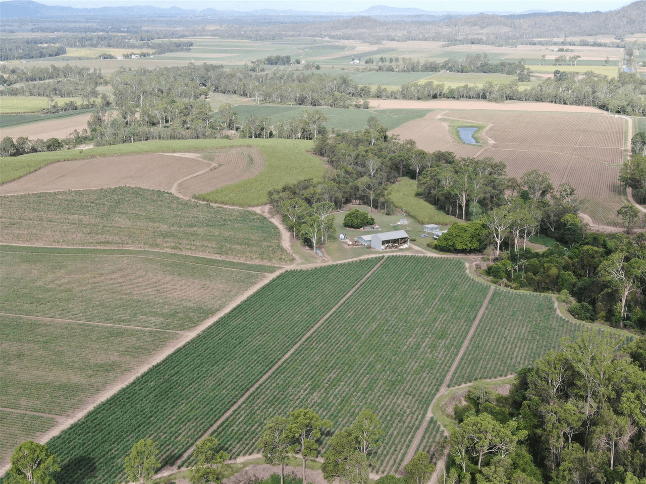 74 Scotts Road, Septimus, QLD 4754