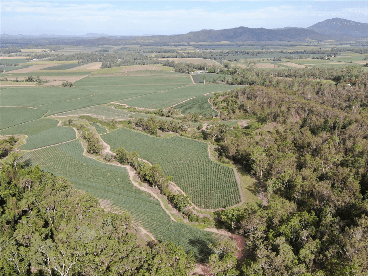 74 Scotts Road, Septimus, QLD 4754