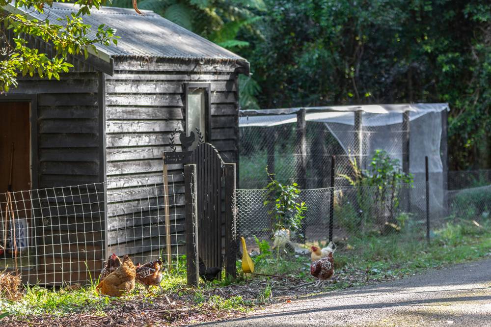 236a Tullouch Road, BROUGHTON VALE, NSW 2535