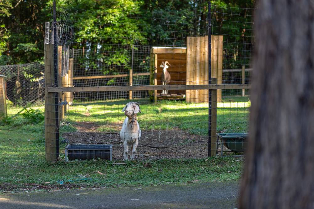 236a Tullouch Road, BROUGHTON VALE, NSW 2535