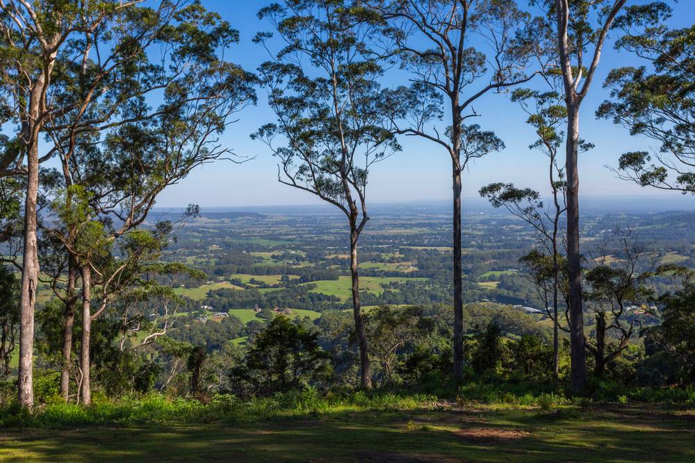 236a Tullouch Road, BROUGHTON VALE, NSW 2535