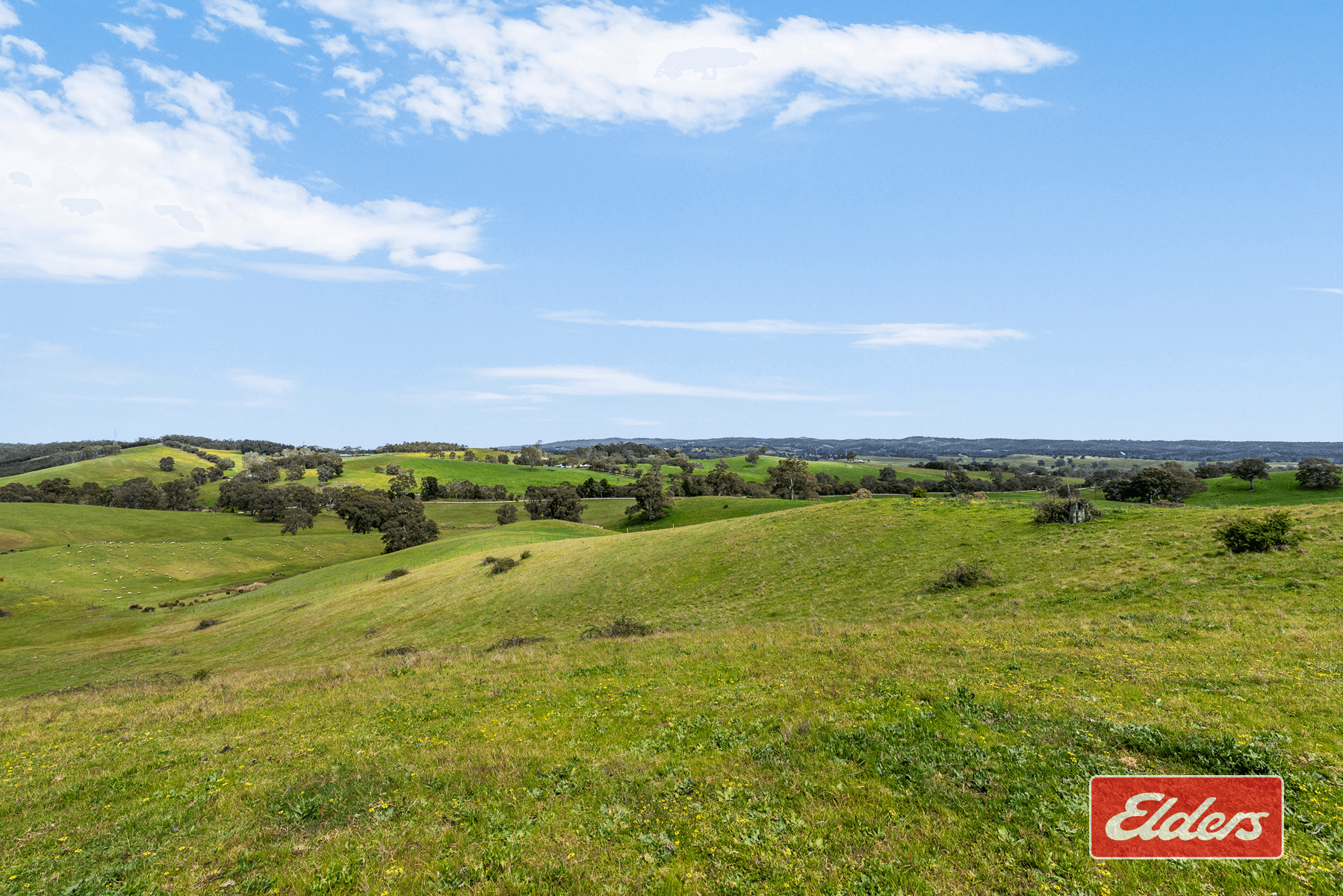 217 Deloraine Road, Kersbrook, SA 5231