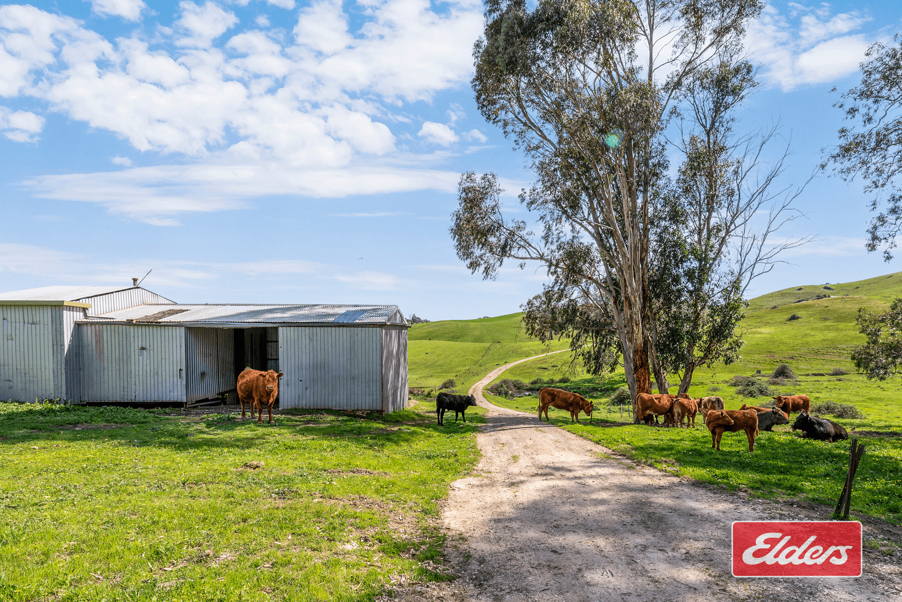 217 Deloraine Road, Kersbrook, SA 5231