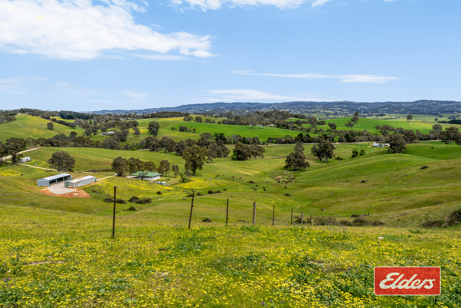 217 Deloraine Road, Kersbrook, SA 5231