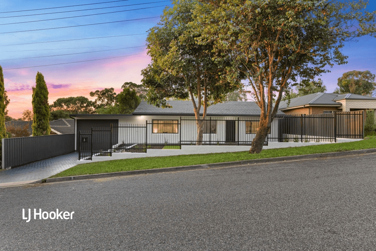 3 Brian Street, RIDGEHAVEN, SA 5097