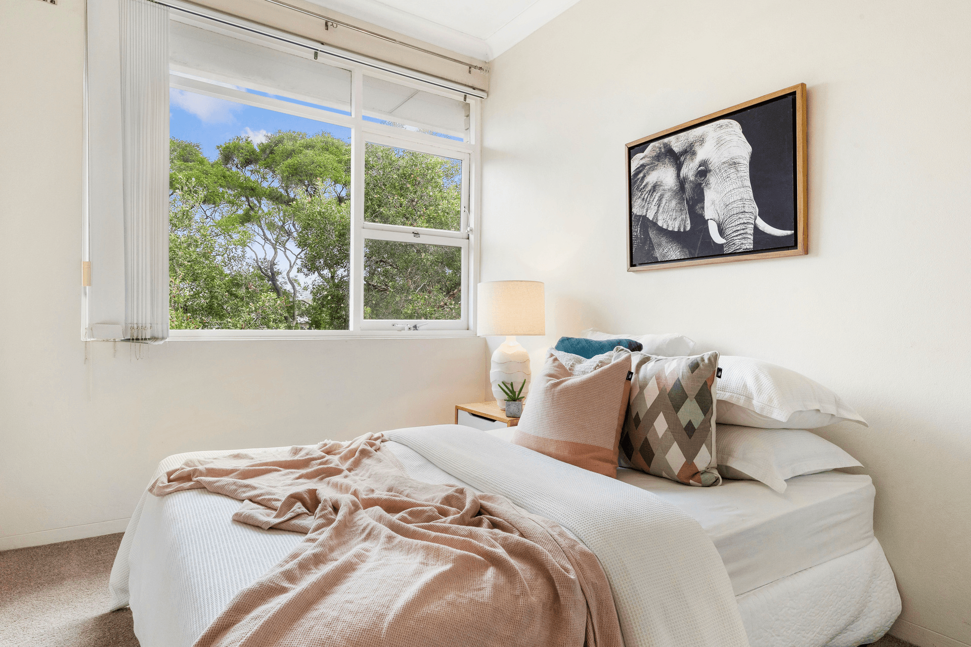 17/11 Koorala Street, Manly Vale, NSW 2093