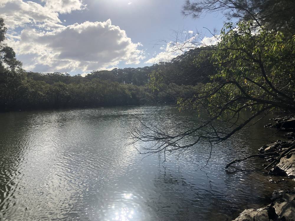 Lot 435 Song Trl, Coffs Harbour, NSW 2450
