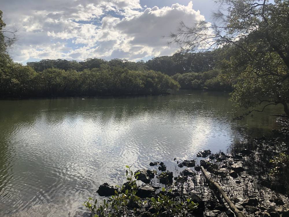 Lot 435 Song Trl, Coffs Harbour, NSW 2450