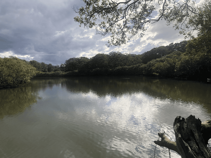 Lot 435 Song Trl, Coffs Harbour, NSW 2450