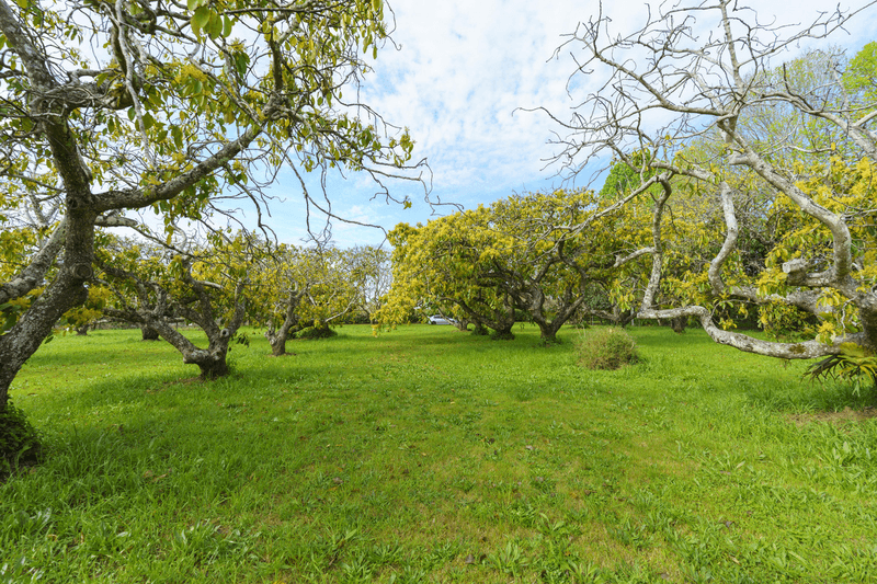 570-576 Main Western Road, TAMBORINE MOUNTAIN, QLD 4272