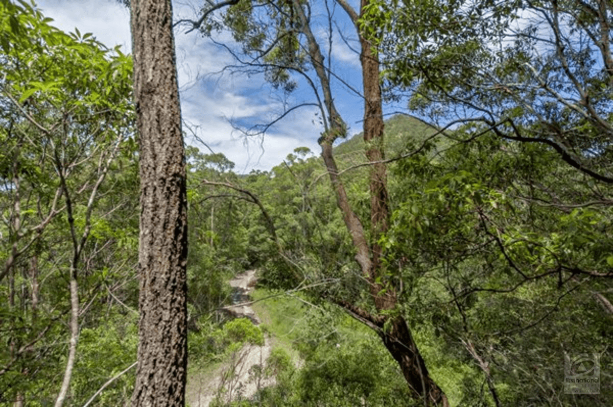 Smiths Creek Road, Stokers Siding, NSW 2484