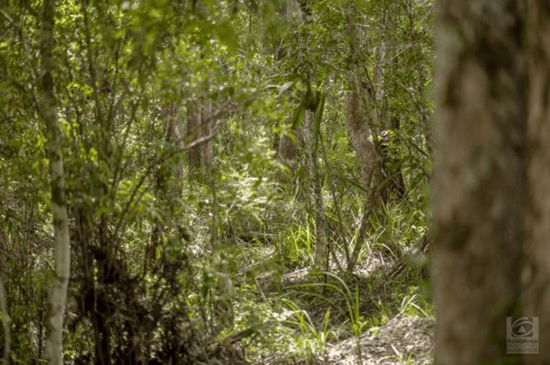 Smiths Creek Road, Stokers Siding, NSW 2484