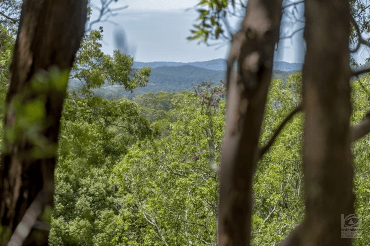 Smiths Creek Road, Stokers Siding, NSW 2484