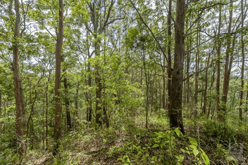 Smiths Creek Road, Stokers Siding, NSW 2484