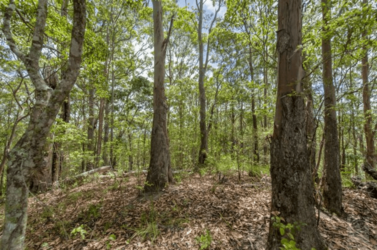 Smiths Creek Road, Stokers Siding, NSW 2484