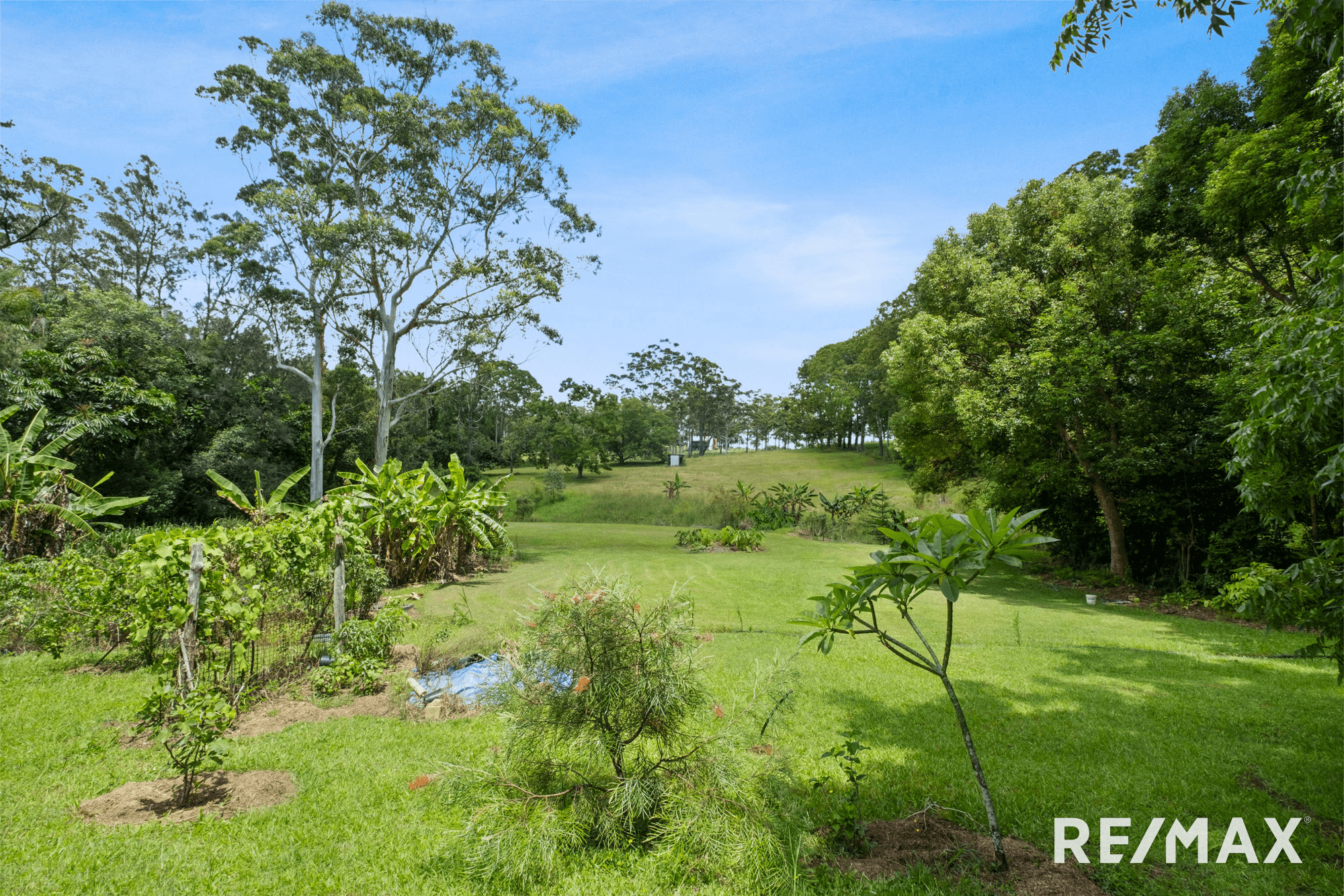 807 Cooloolabin Road, COOLOOLABIN, QLD 4560