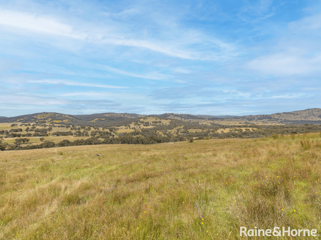 1095 Turondale Road, DURAMANA, NSW 2795