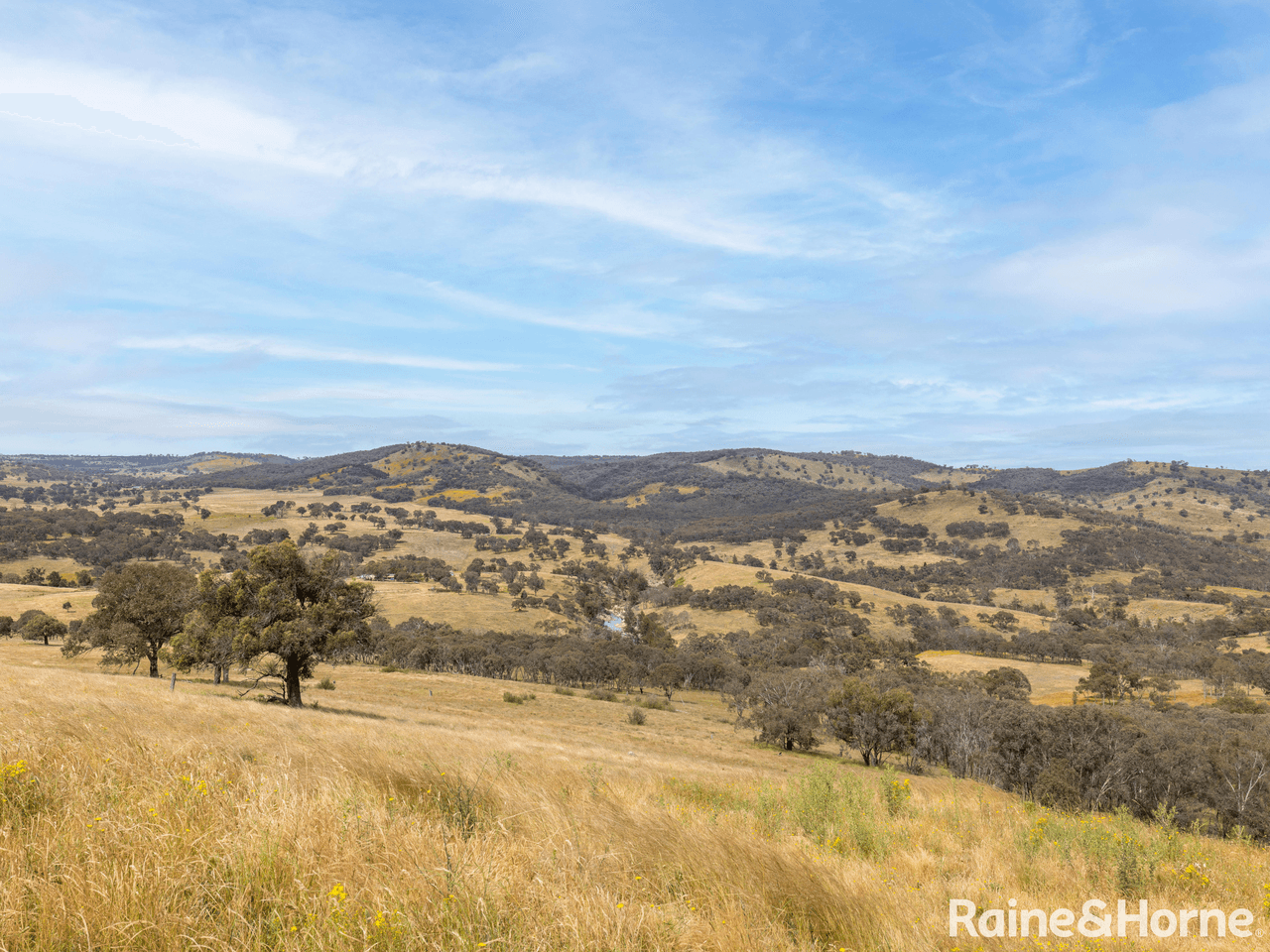 1095 Turondale Road, DURAMANA, NSW 2795