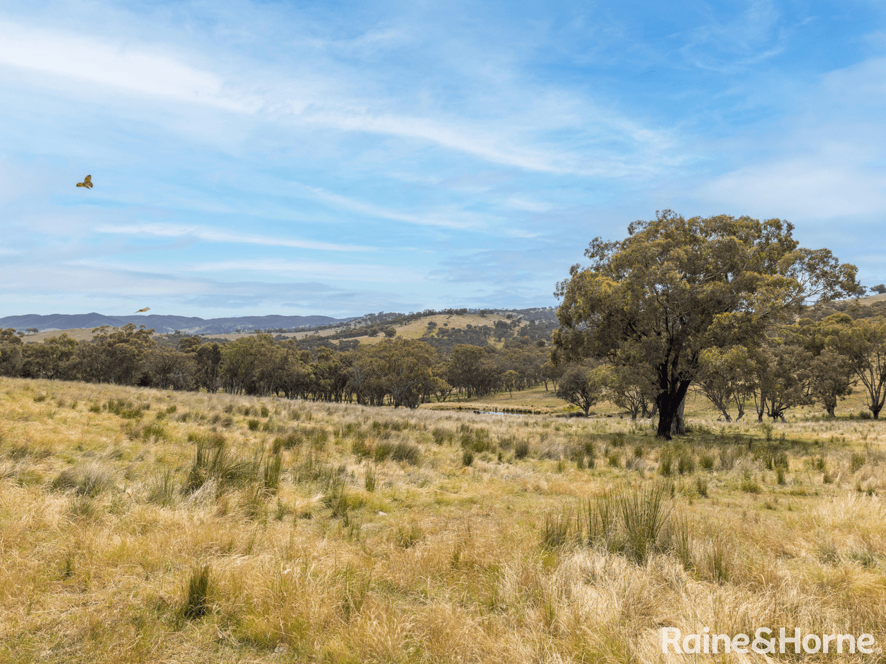 1095 Turondale Road, DURAMANA, NSW 2795