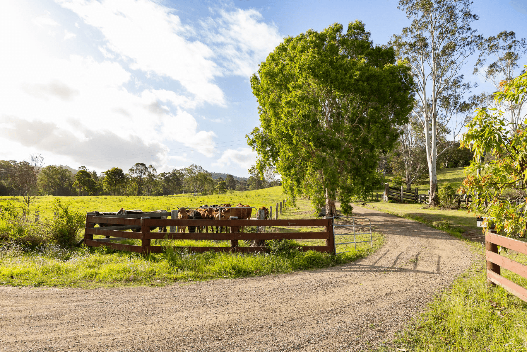 31 Fleetwood Road, BELLI PARK, QLD 4562