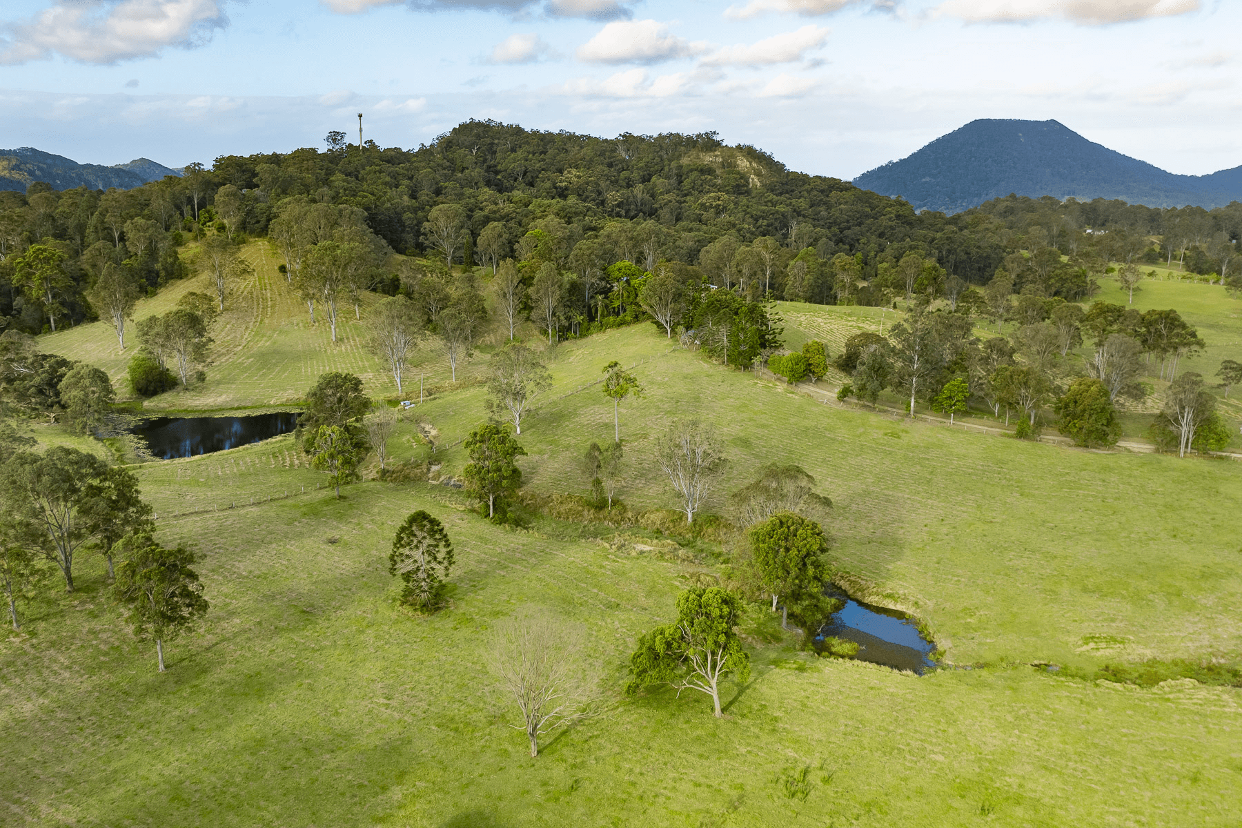 31 Fleetwood Road, BELLI PARK, QLD 4562