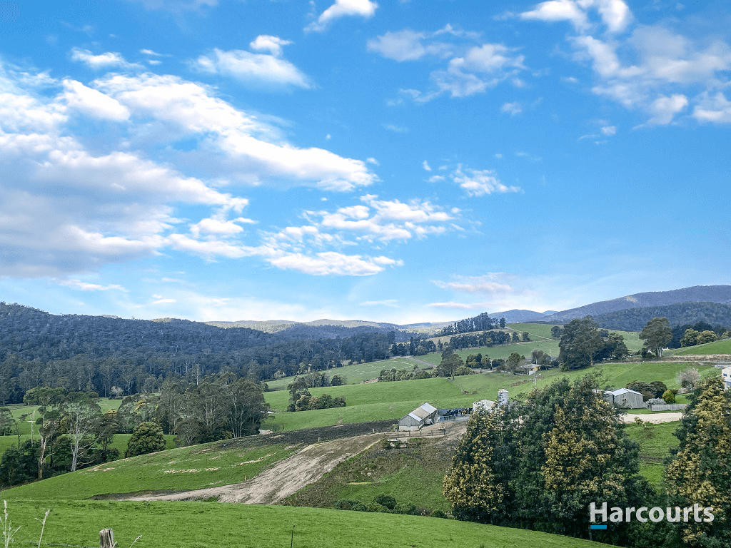 309 Lottah Road, GOULDS COUNTRY, TAS 7216