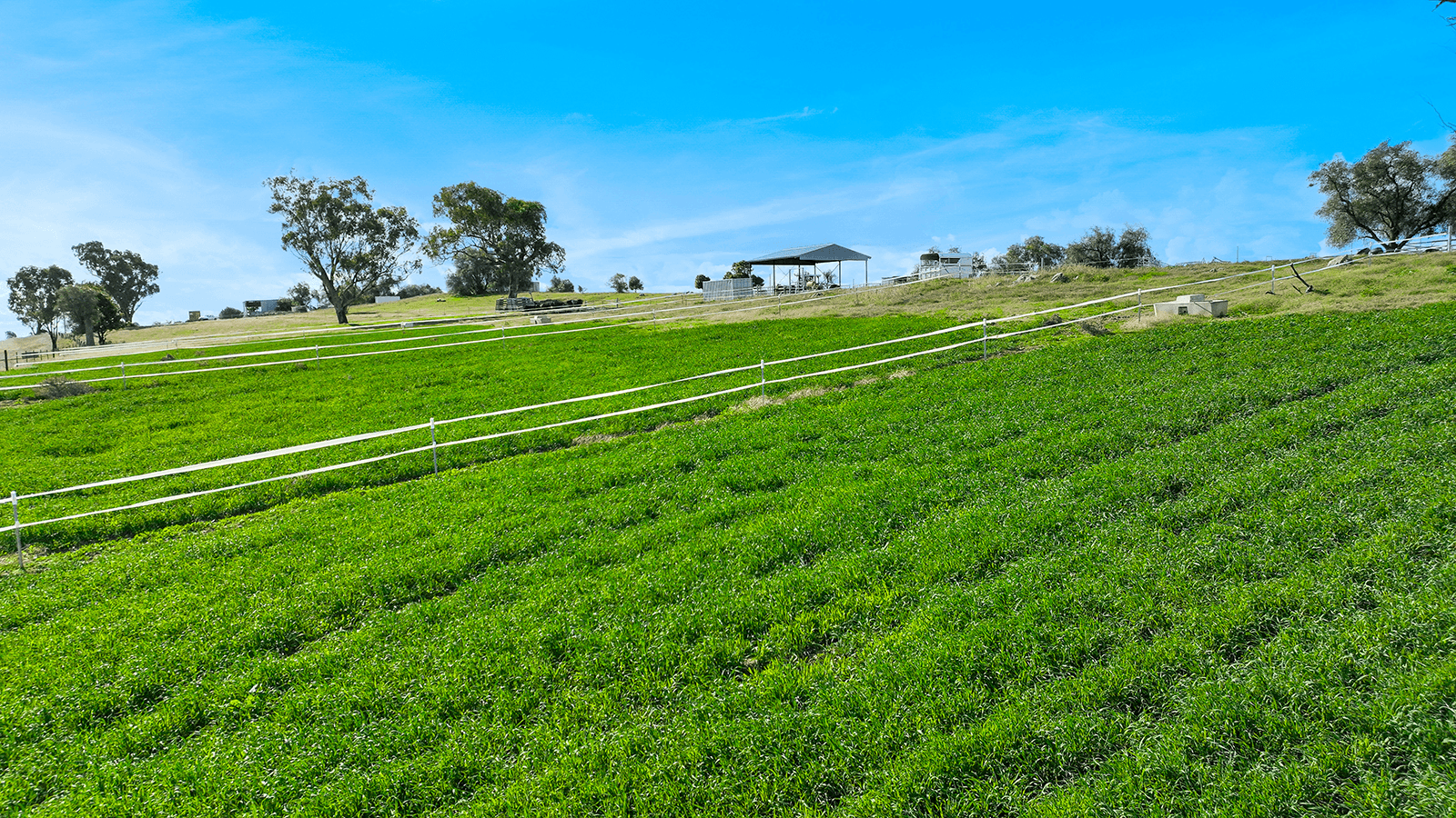 1193 Marsden Park Road, TAMWORTH, NSW 2340