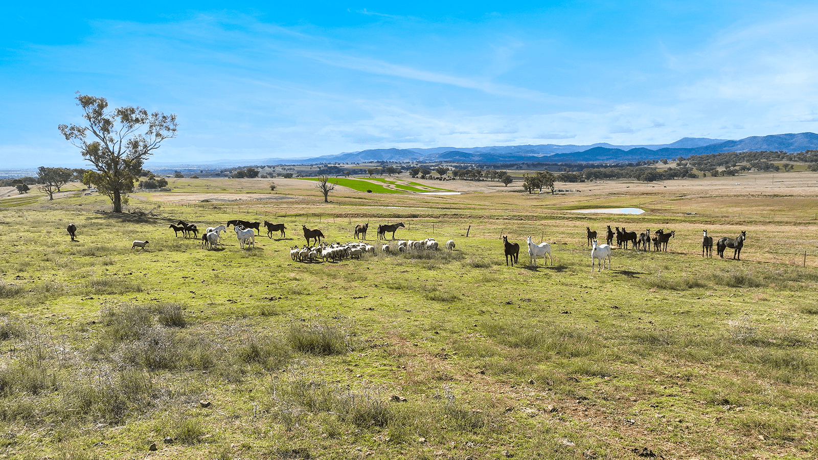 1193 Marsden Park Road, TAMWORTH, NSW 2340