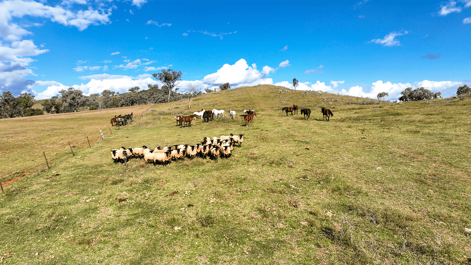1193 Marsden Park Road, TAMWORTH, NSW 2340