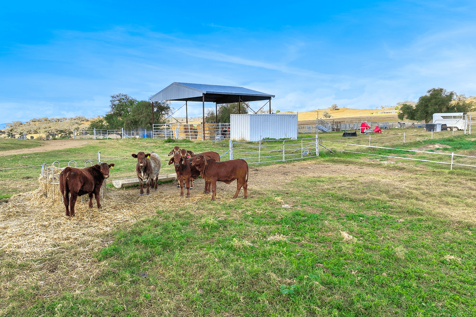 1193 Marsden Park Road, TAMWORTH, NSW 2340