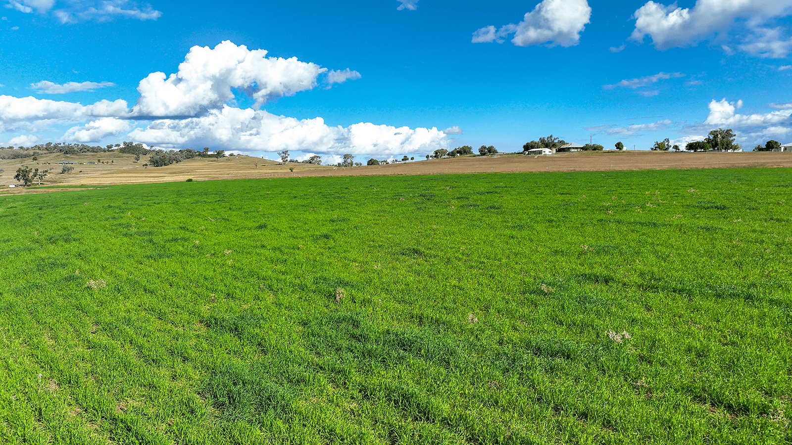 1193 Marsden Park Road, TAMWORTH, NSW 2340
