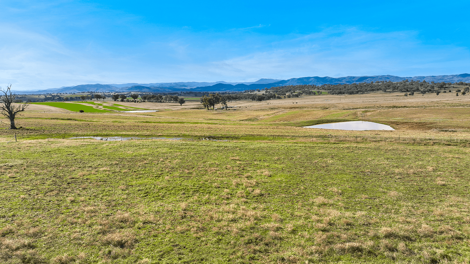 1193 Marsden Park Road, TAMWORTH, NSW 2340