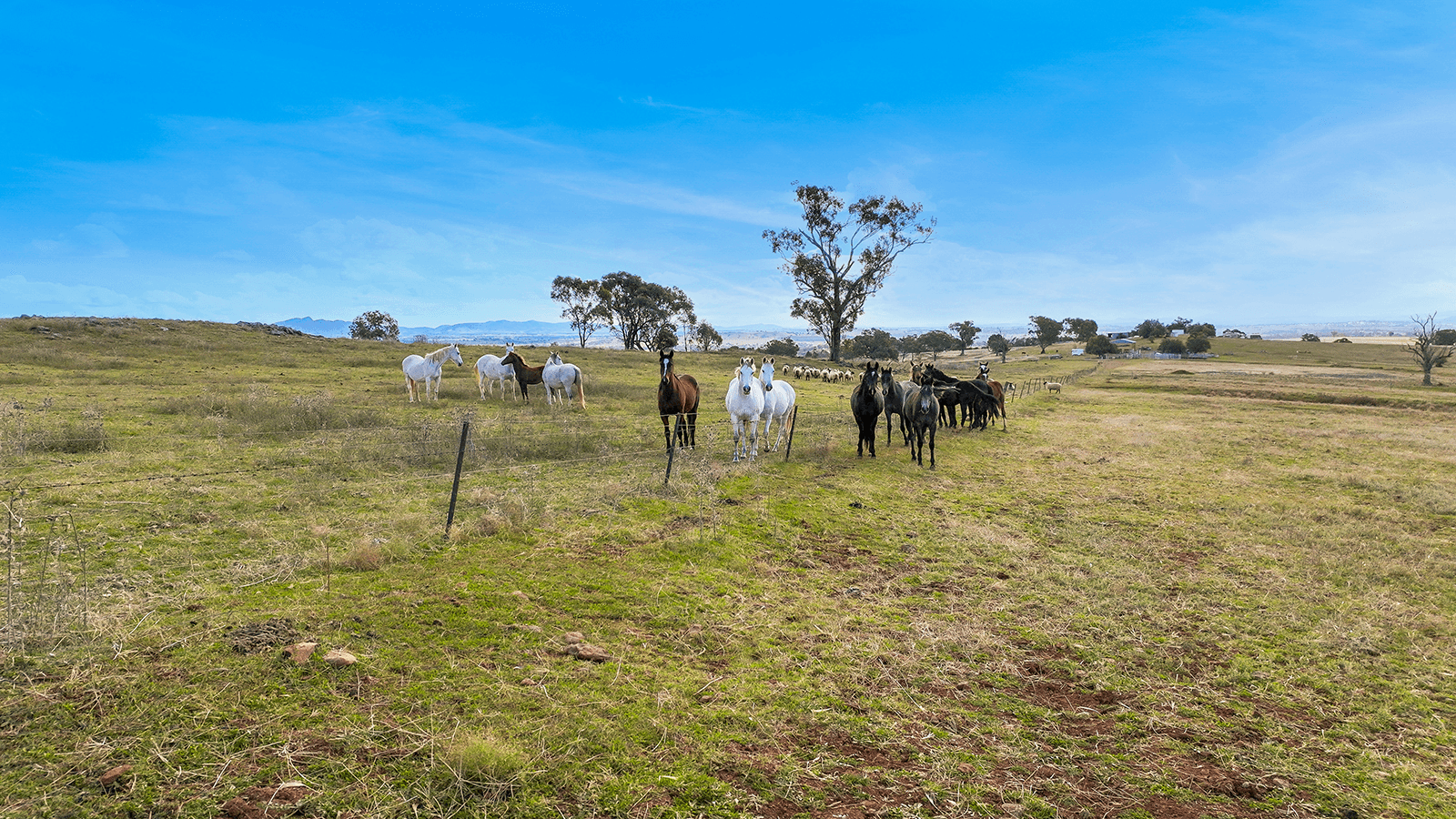 1193 Marsden Park Road, TAMWORTH, NSW 2340