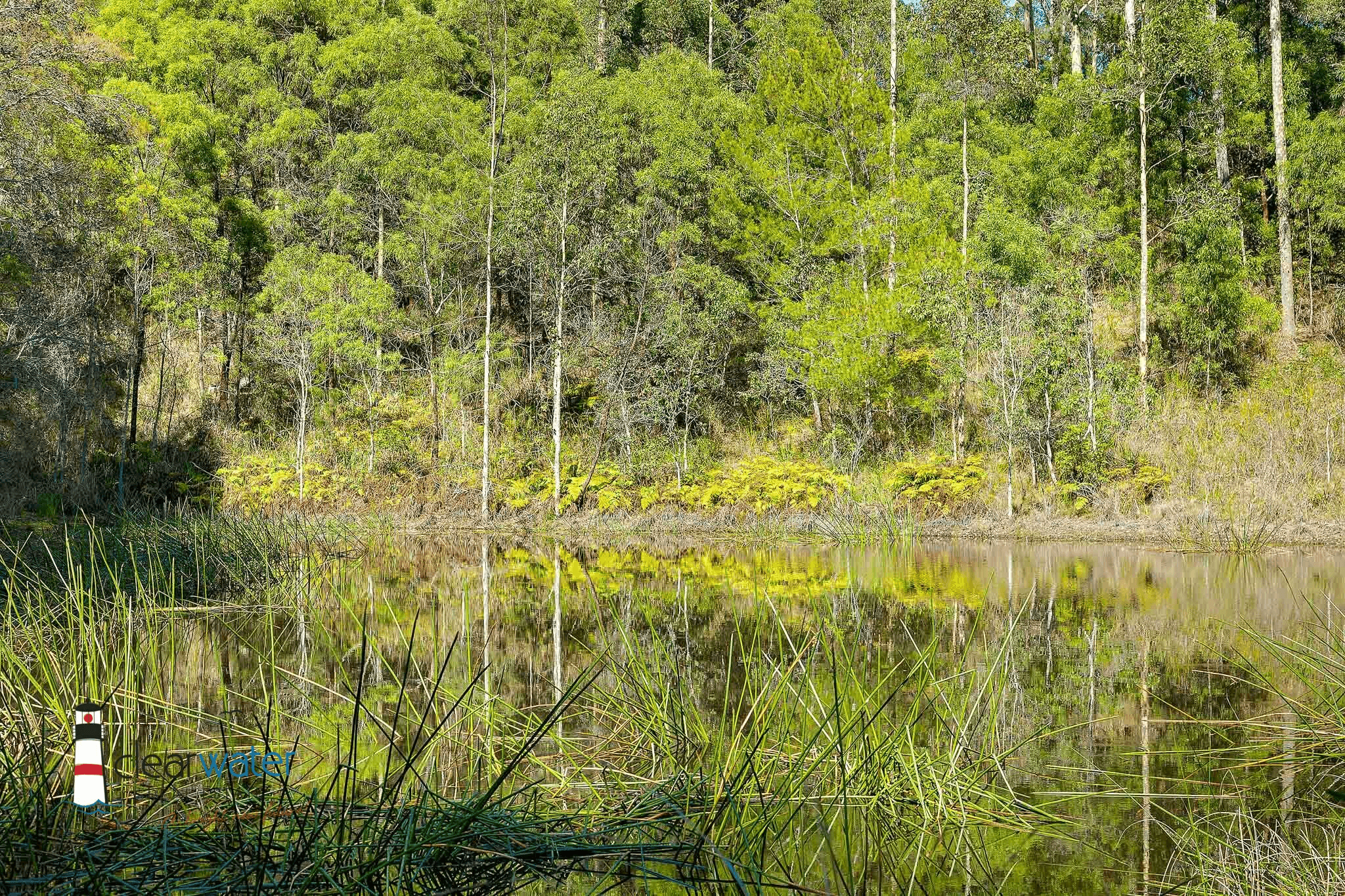 156 Flying Fox Rd, Narooma, NSW 2546