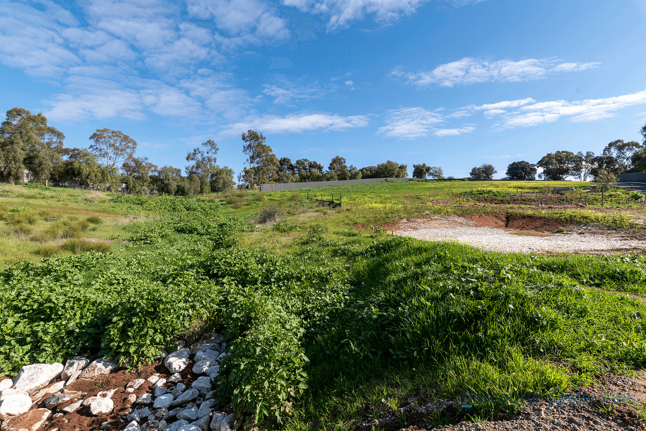 Cheek Avenue, GAWLER EAST, SA 5118