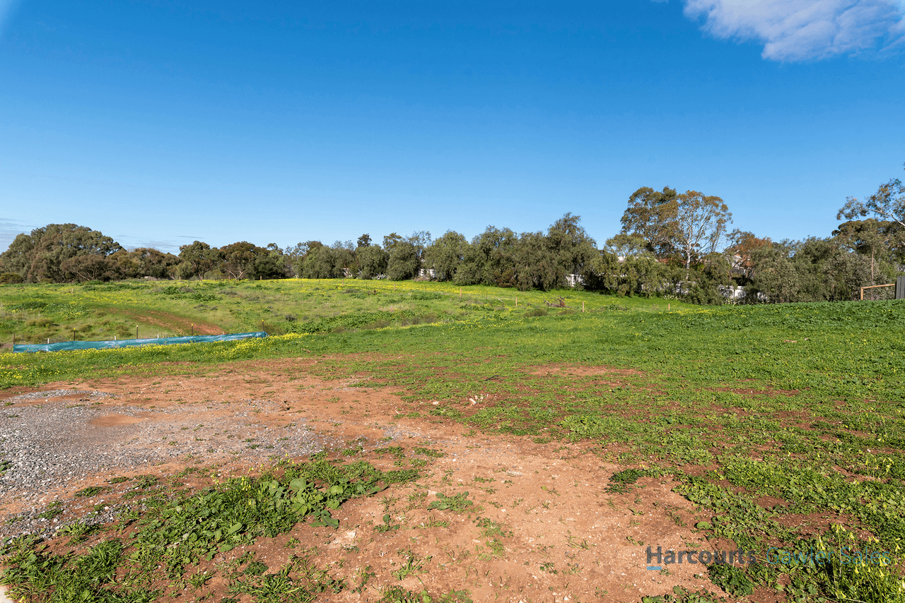 Cheek Avenue, GAWLER EAST, SA 5118