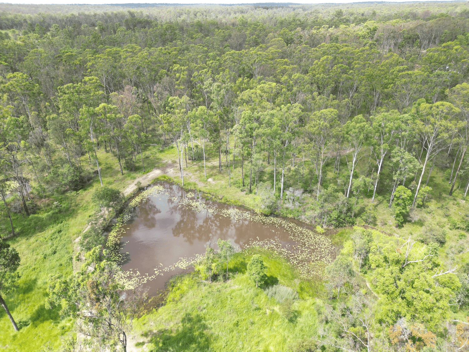 Lot 1511 Leggets Lane, Glenwood, QLD 4570