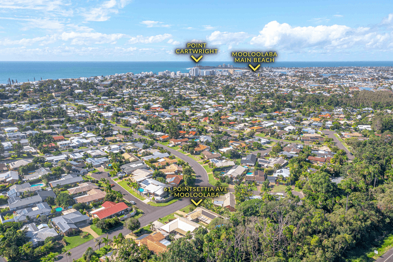 61  Poinsettia Avenue, MOOLOOLABA, QLD 4557