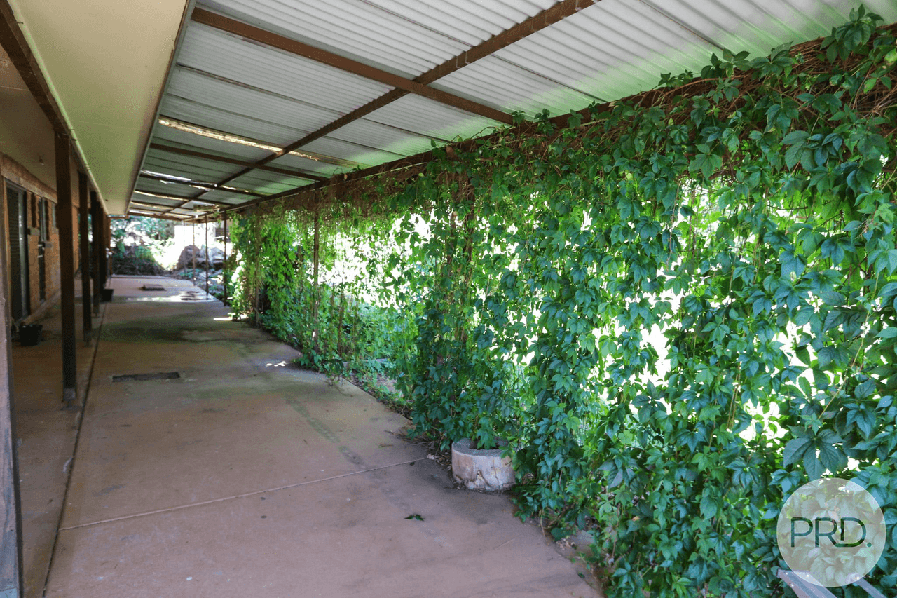 13 Bogong Street, TUMBARUMBA, NSW 2653