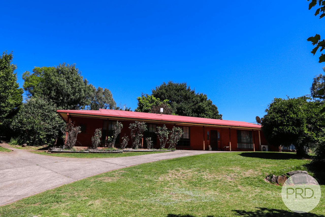 13 Bogong Street, TUMBARUMBA, NSW 2653