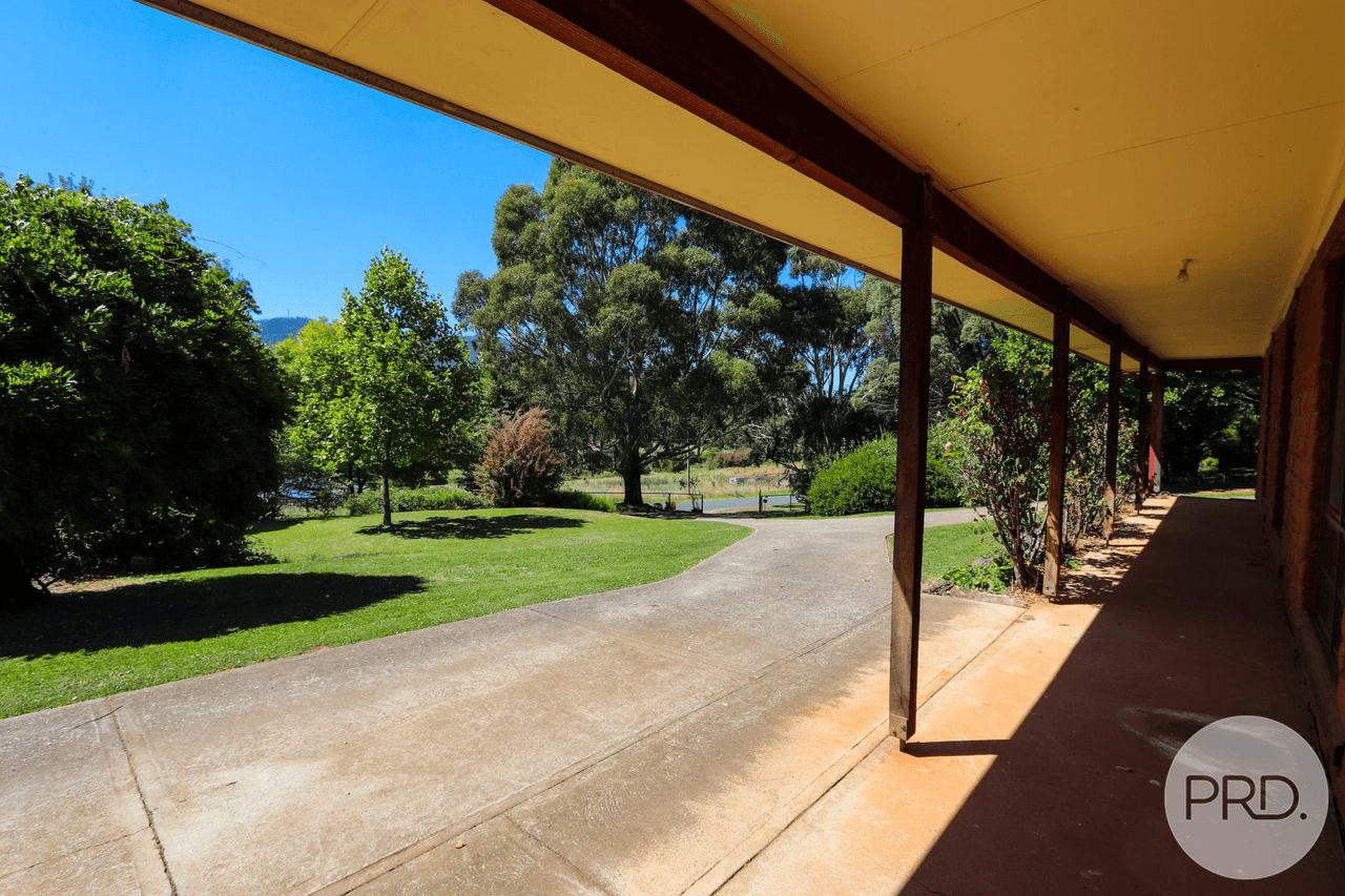 13 Bogong Street, TUMBARUMBA, NSW 2653
