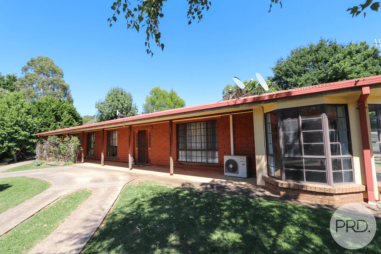 13 Bogong Street, TUMBARUMBA, NSW 2653
