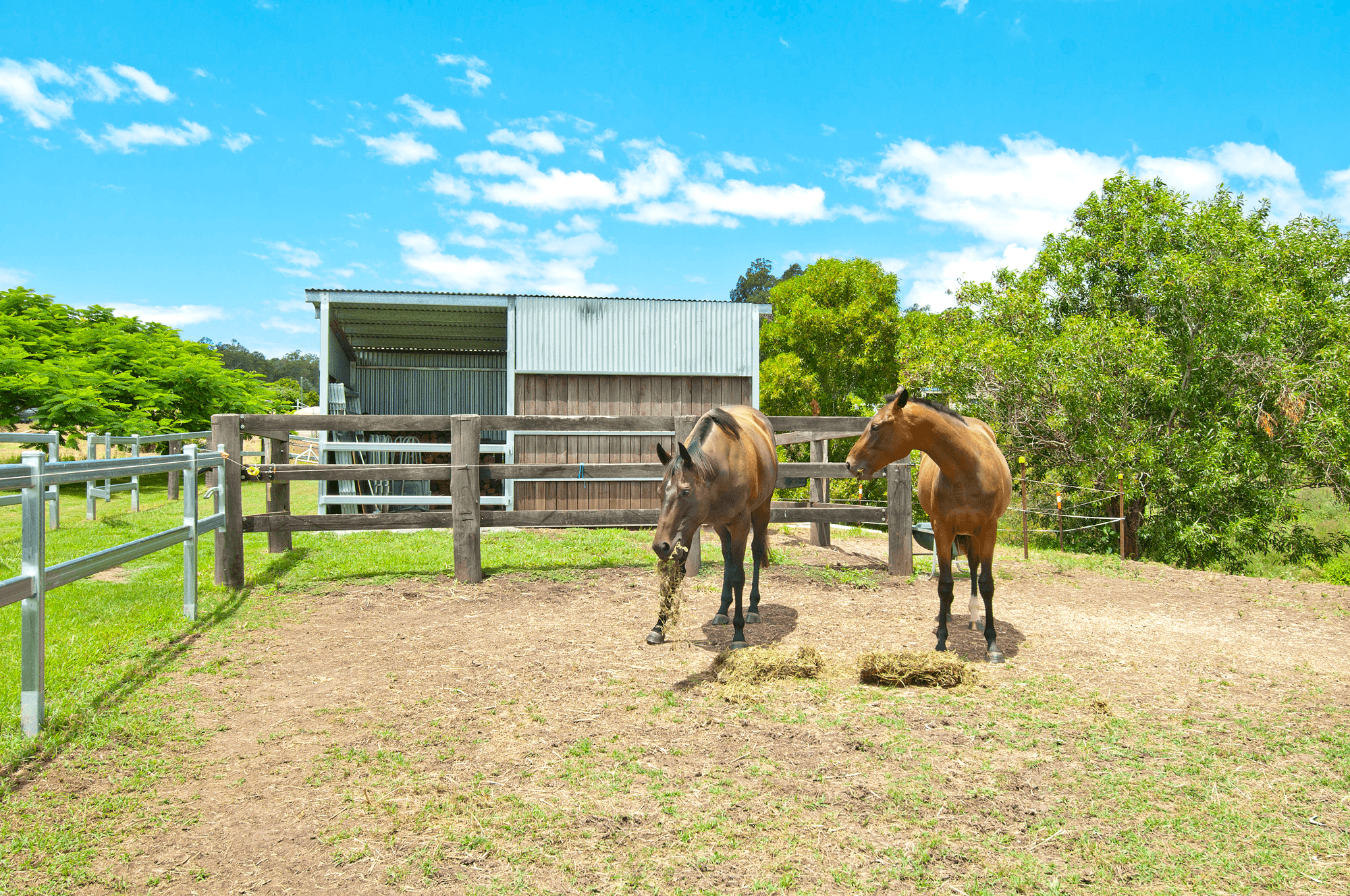 5 Haifa Place, VERESDALE SCRUB, QLD 4285