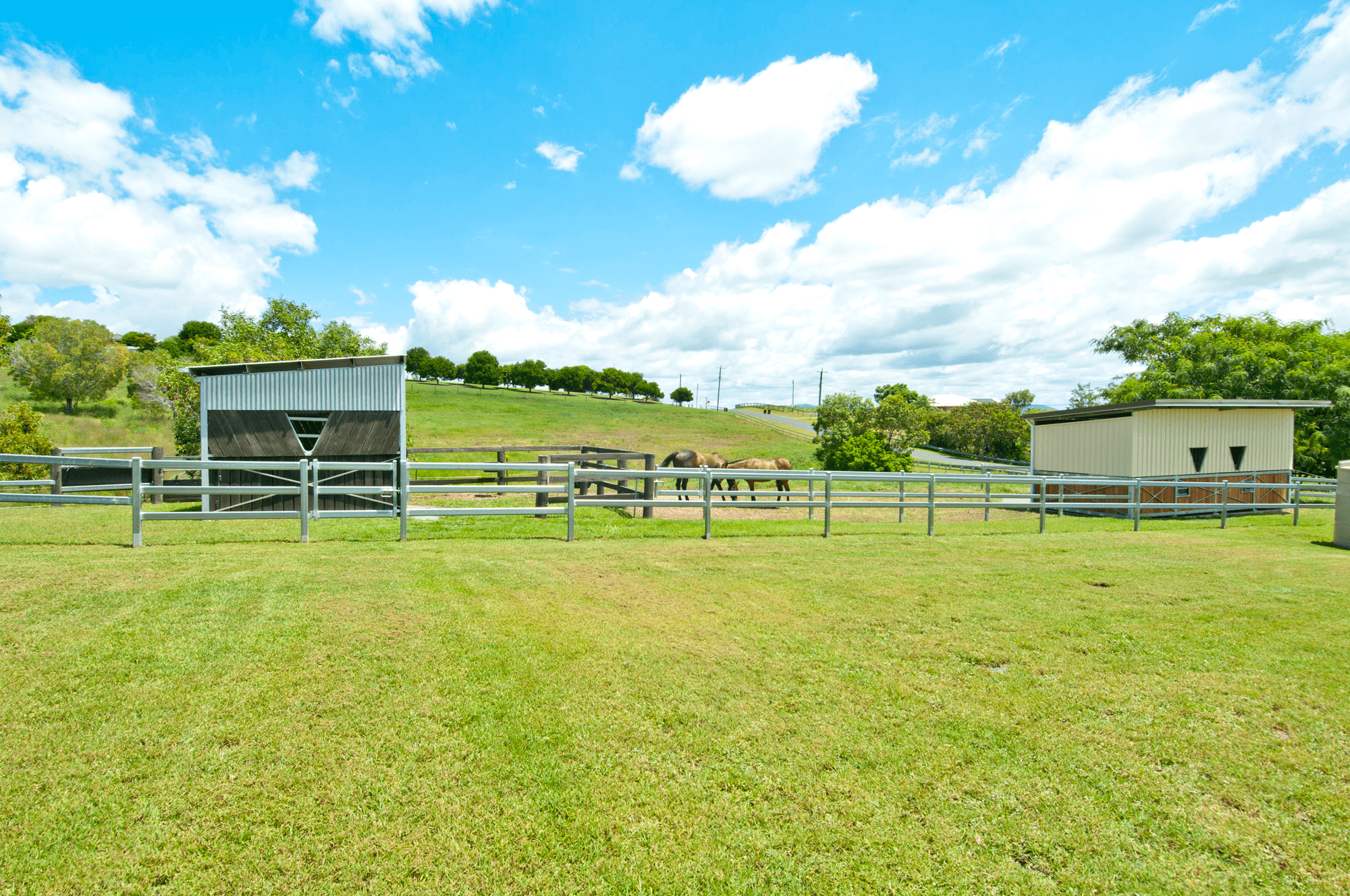 5 Haifa Place, VERESDALE SCRUB, QLD 4285