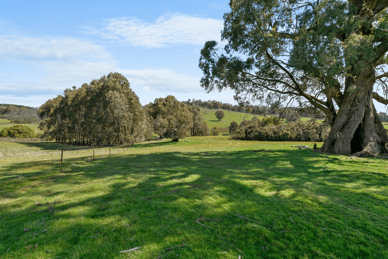 0 McGearys Road, BOHO SOUTH, VIC 3669