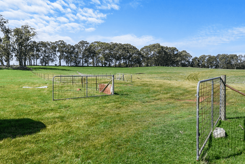 0 McGearys Road, BOHO SOUTH, VIC 3669