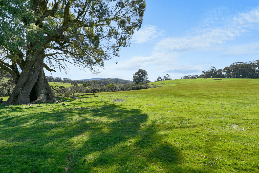 0 McGearys Road, BOHO SOUTH, VIC 3669